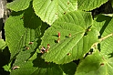 DSCN8961