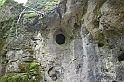 DSCN8966