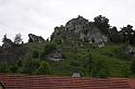 DSCN8981