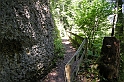 DSCN8996