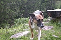 DSCN9054