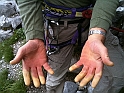 Galadriel_6c+_1SL_Röbis_weisseFinger_084