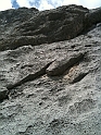 Kamala_7a_075