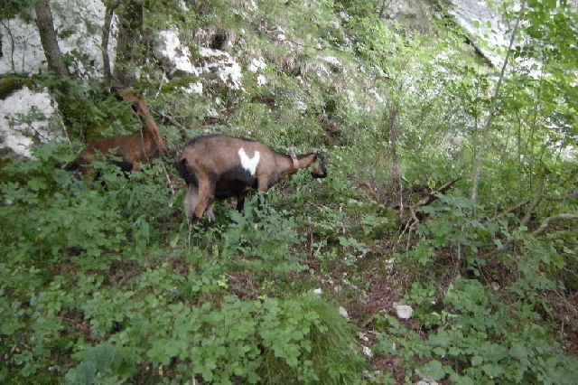 DSCN9218.JPG