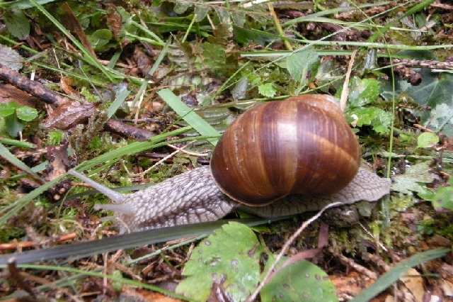 DSCN9222.JPG
