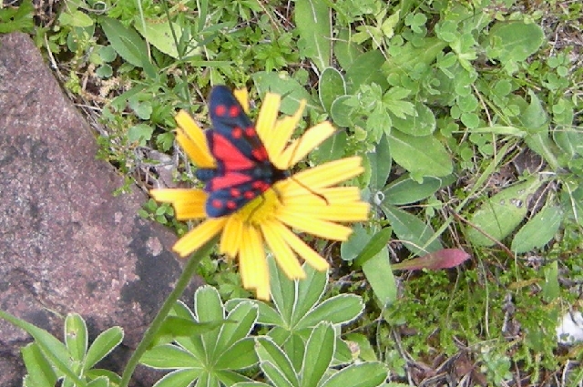 DSCN9274m.png