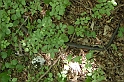 DSCN9204
