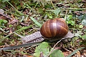 DSCN9222