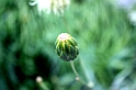 IMG_1274