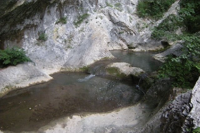 VipavskaBela9111.JPG - Vipavska Bela