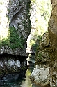 IMG_1383
