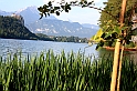 bIMG_1343