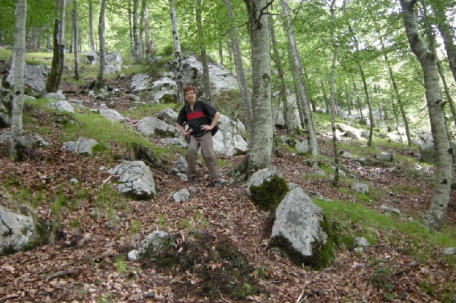 DSCN9255.JPG - Die Zustiege sind in Slowenien mehr oder weniger immer querfeldein.