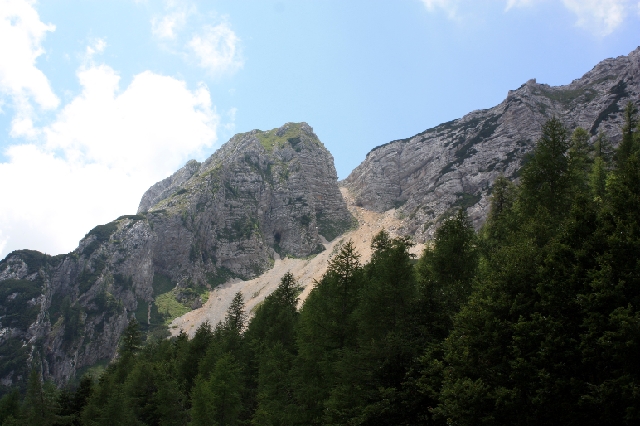 IMG_1305.JPG