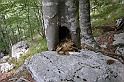 DSCN9254