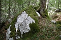 DSCN9264