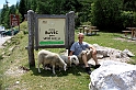 IMG_1307