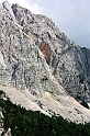 IMG_1317