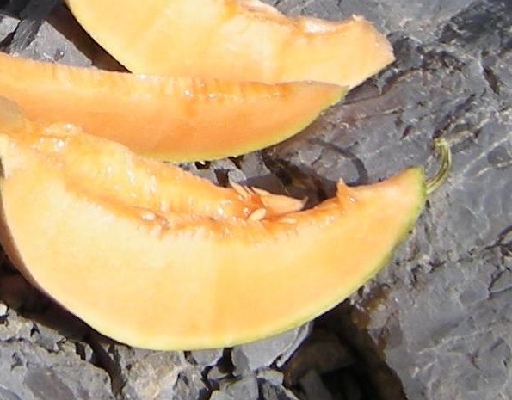 DSCN9345.JPG
