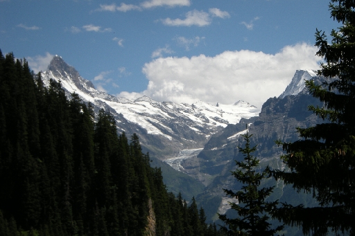 DSCN9461.JPG - Schreckhorn