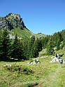 4899187_n