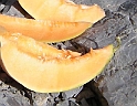 DSCN9345