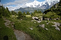 DSCN9405