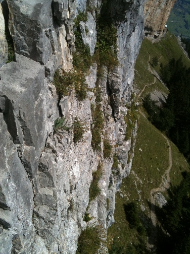 Froeschli_Stand_L1_122.jpg