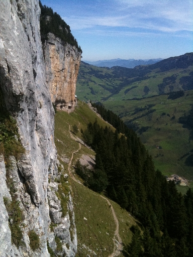 Froeschli_Stand_L1_123.jpg