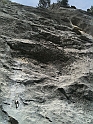 Froeschli_L2_7a_126