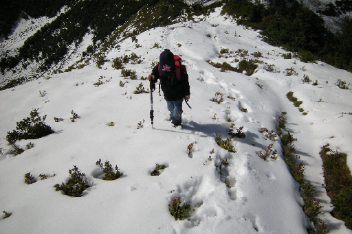 DSCN9552.JPG