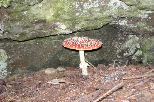 DSCN9586.JPG