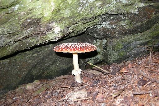 DSCN9588.JPG
