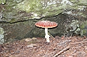 DSCN9586