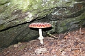 DSCN9588