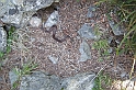DSCN9591
