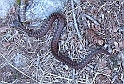 DSCN9591s