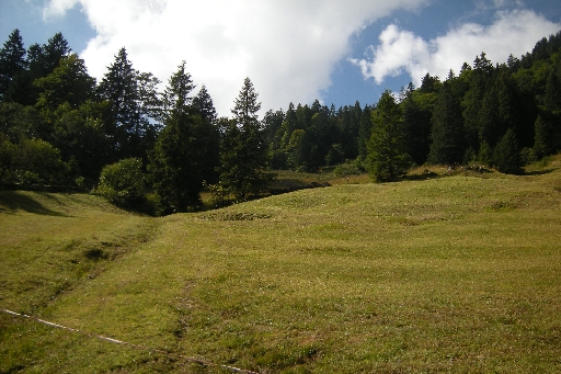 DSCN9614.JPG