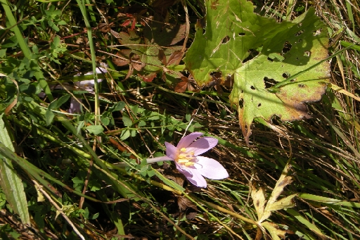 DSCN9620.JPG