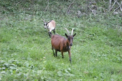 DSCN9642.JPG