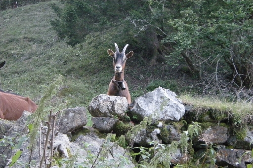 DSCN9645.JPG