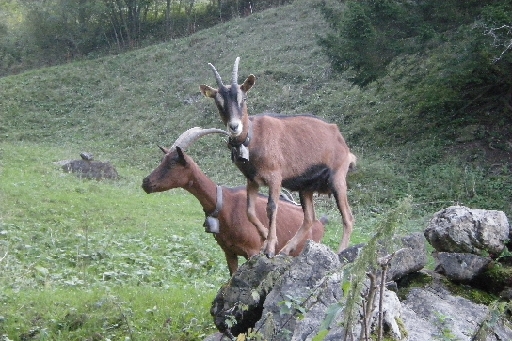 DSCN9646.JPG