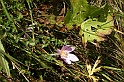 DSCN9620