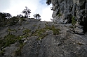 DSCN9625