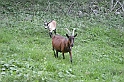 DSCN9642