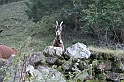 DSCN9645