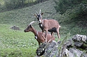 DSCN9646