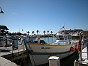 DSCN9952