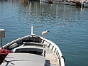 DSCN9956