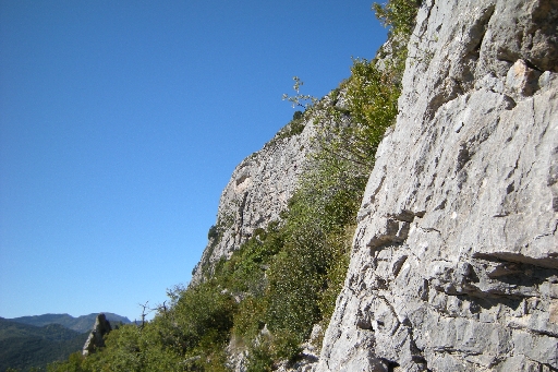DSCN9699.JPG